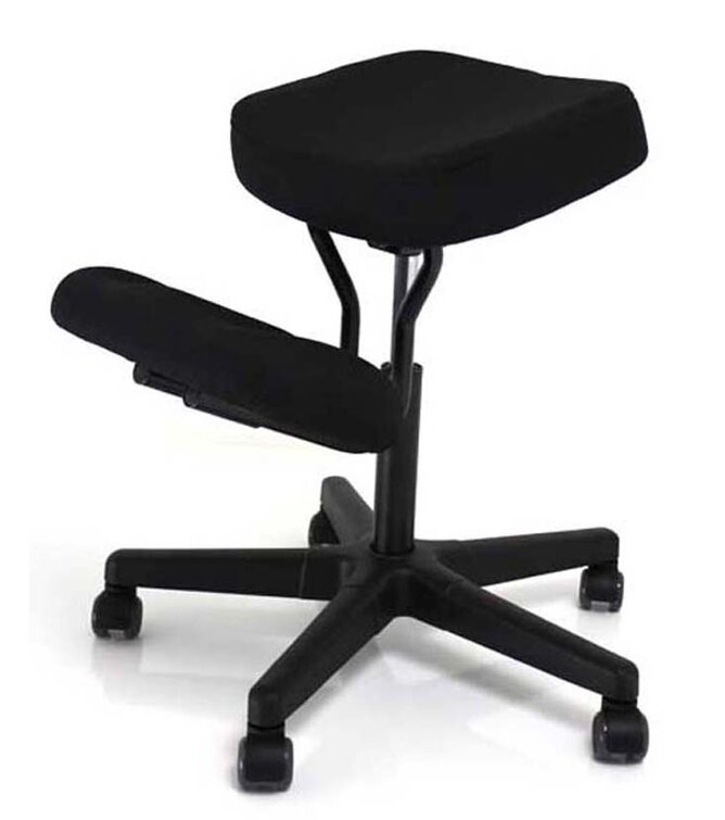 Symple Stuff Wasson Adjustable Height Ergonomic Kneeling Chair